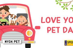 Pet Number Plates - Speedy Reg