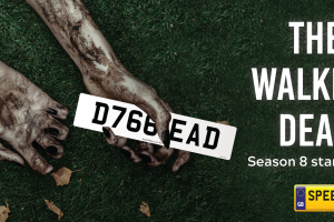 Walking Dead Number Plates - Speedy Reg