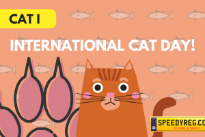 International Cat Day Number Plates - Speedy Reg