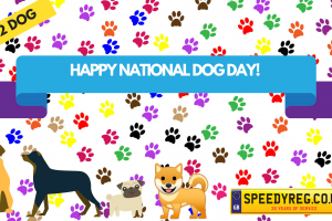 Happy National Dog Day Number Plates - Speedy Reg